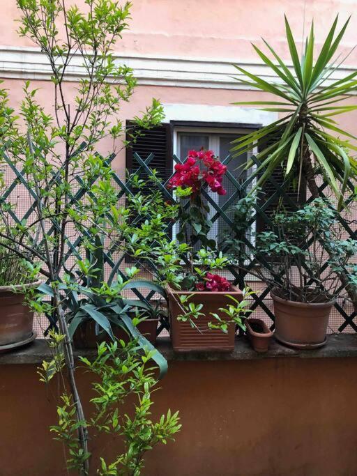 Centro Storico Appartamento Con Terrazza โรม ภายนอก รูปภาพ